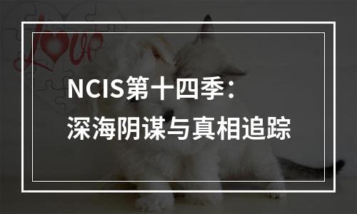 NCIS第十四季：深海阴谋与真相追踪