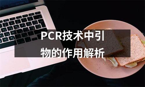 PCR技术中引物的作用解析