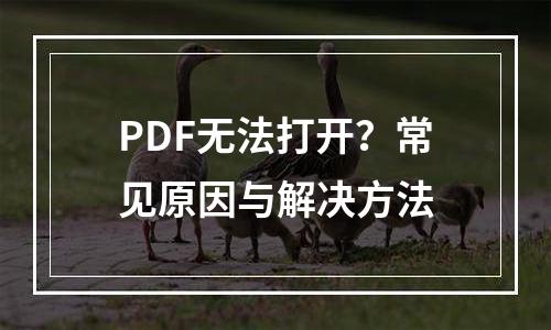 PDF无法打开？常见原因与解决方法