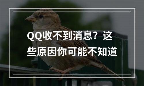 QQ收不到消息？这些原因你可能不知道