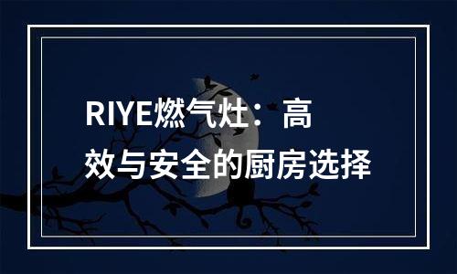 RIYE燃气灶：高效与安全的厨房选择