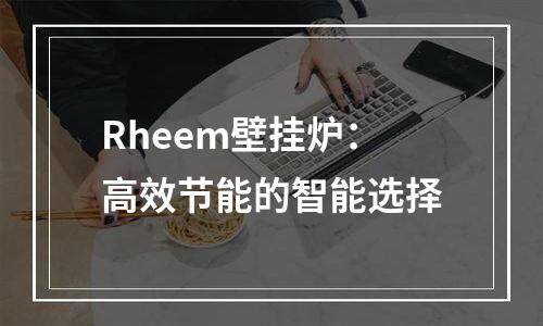Rheem壁挂炉：高效节能的智能选择