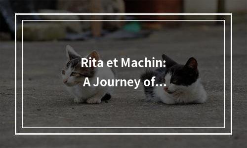 Rita et Machin: A Journey of Discovery