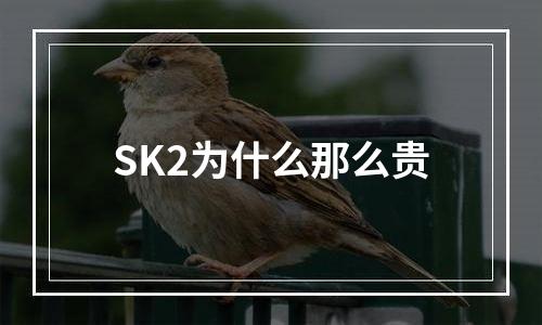 SK2为什么那么贵