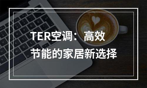 TER空调：高效节能的家居新选择