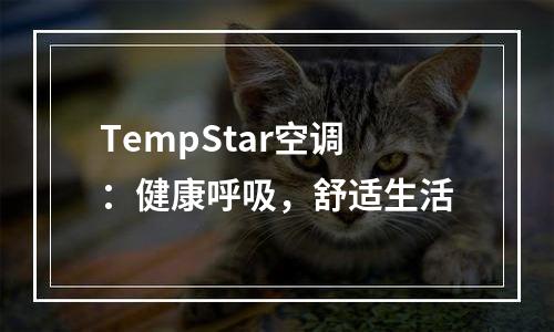 TempStar空调：健康呼吸，舒适生活