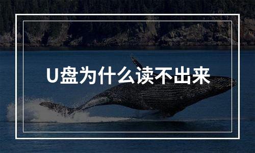 U盘为什么读不出来