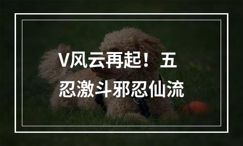 V风云再起！五忍激斗邪忍仙流
