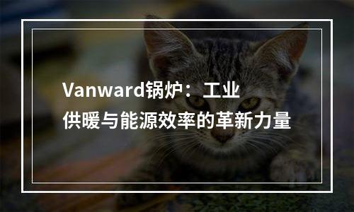Vanward锅炉：工业供暖与能源效率的革新力量
