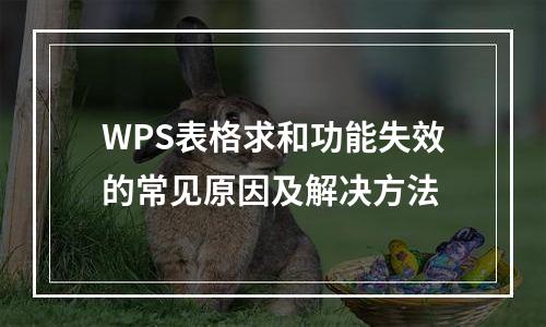 WPS表格求和功能失效的常见原因及解决方法