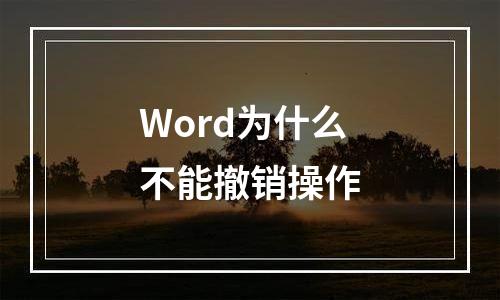 Word为什么不能撤销操作