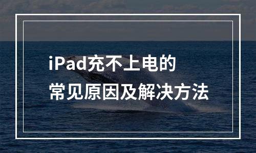 iPad充不上电的常见原因及解决方法
