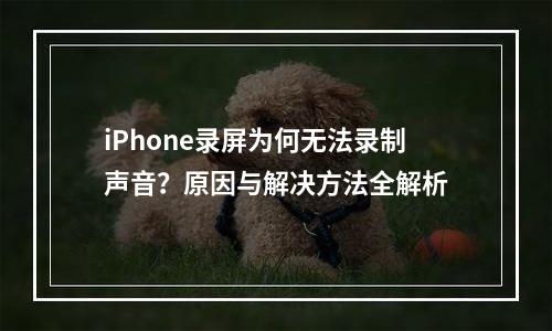 iPhone录屏为何无法录制声音？原因与解决方法全解析